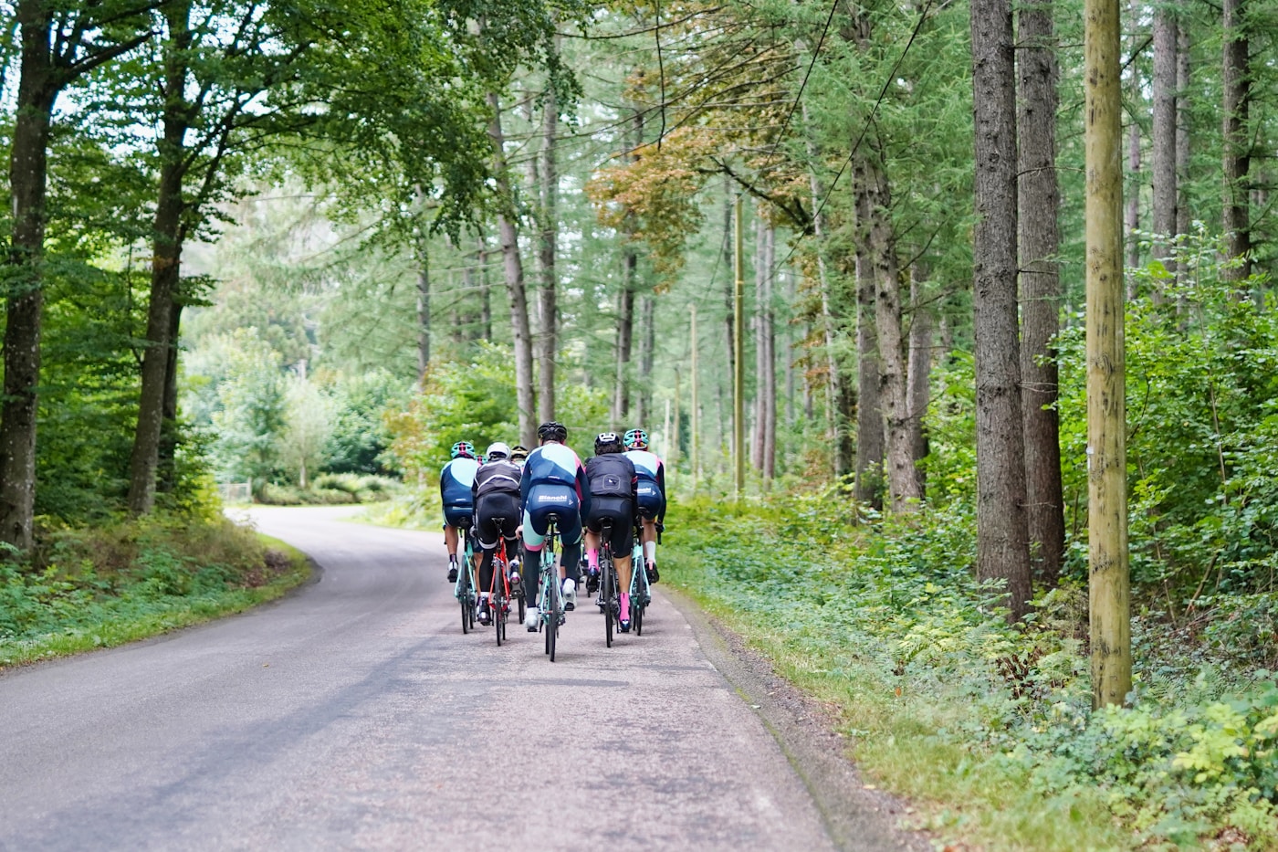 Cyclistes en foret